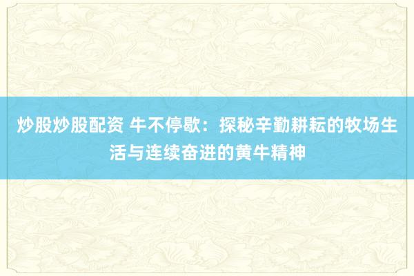 炒股炒股配资 牛不停歇：探秘辛勤耕耘的牧场生活与连续奋进的黄牛精神