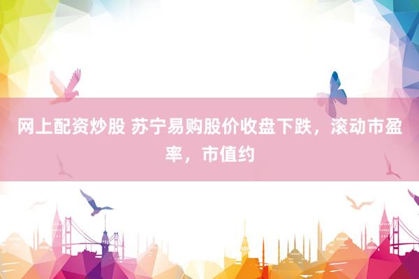 网上配资炒股 苏宁易购股价收盘下跌，滚动市盈率，市值约