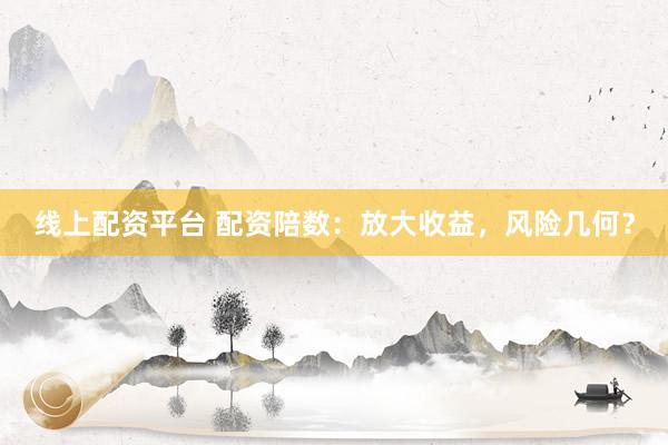 线上配资平台 配资陪数：放大收益，风险几何？