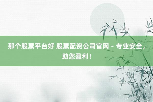 那个股票平台好 股票配资公司官网 - 专业安全，助您盈利！