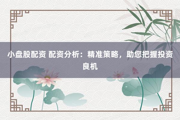 小盘股配资 配资分析：精准策略，助您把握投资良机