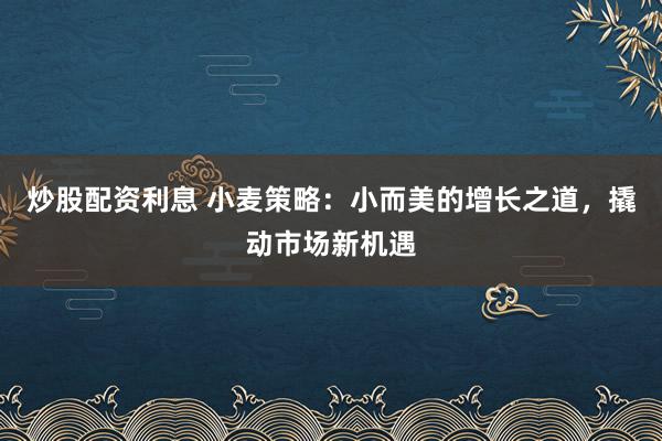 炒股配资利息 小麦策略：小而美的增长之道，撬动市场新机遇
