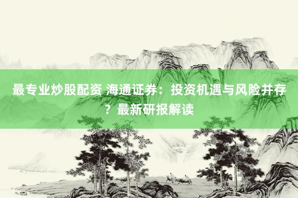 最专业炒股配资 海通证券：投资机遇与风险并存？最新研报解读
