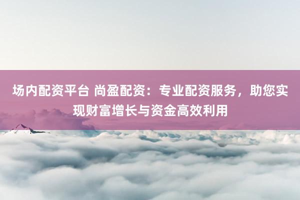 场内配资平台 尚盈配资：专业配资服务，助您实现财富增长与资金高效利用
