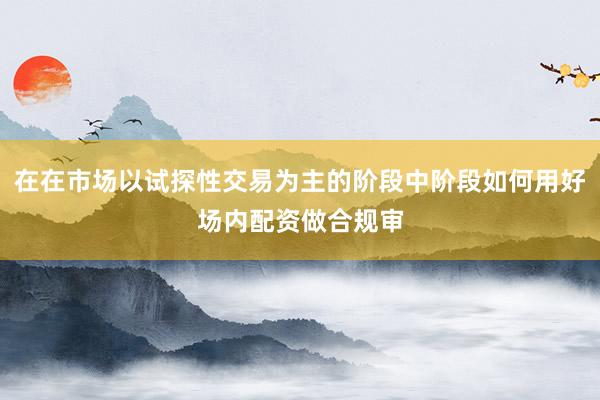 在在市场以试探性交易为主的阶段中阶段如何用好场内配资做合规审