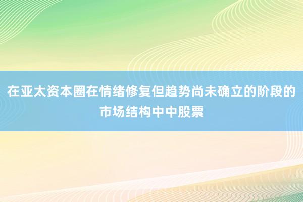 在亚太资本圈在情绪修复但趋势尚未确立的阶段的市场结构中中股票