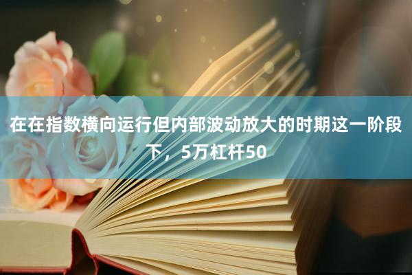 在在指数横向运行但内部波动放大的时期这一阶段下，5万杠杆50