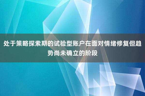 处于策略探索期的试验型账户在面对情绪修复但趋势尚未确立的阶段