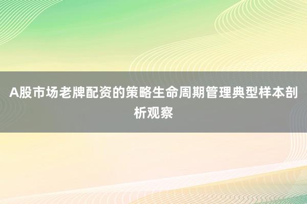 A股市场老牌配资的策略生命周期管理典型样本剖析观察