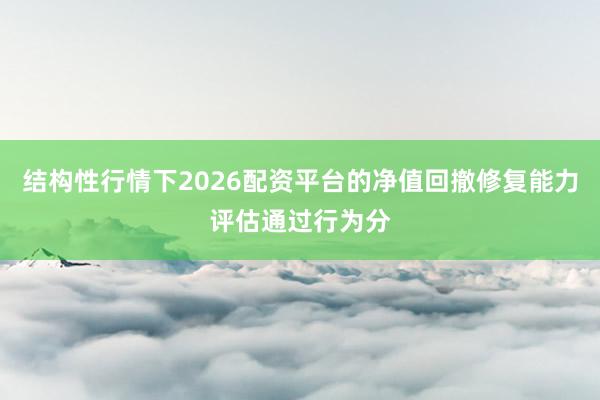 结构性行情下2026配资平台的净值回撤修复能力评估通过行为分