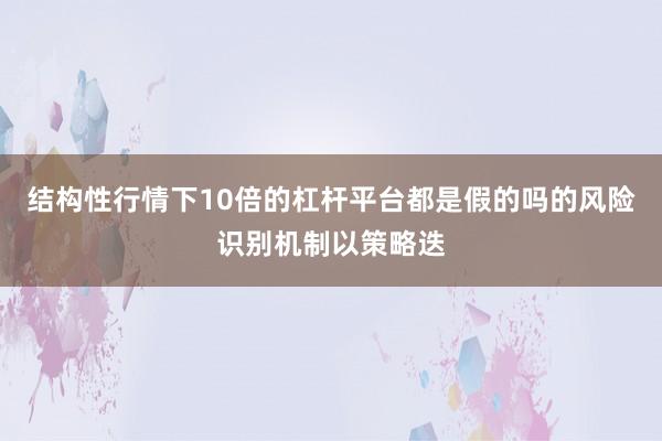 结构性行情下10倍的杠杆平台都是假的吗的风险识别机制以策略迭