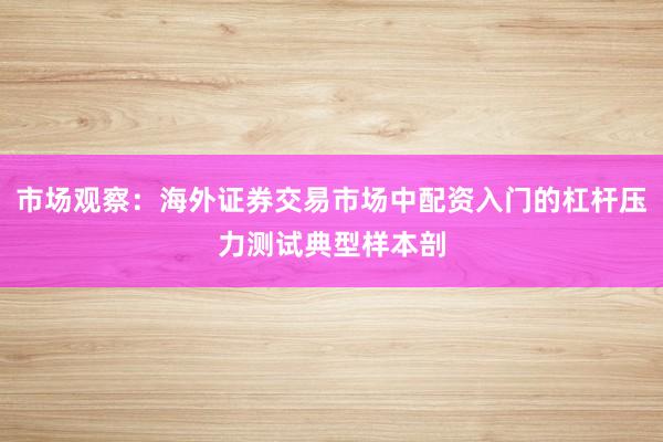 市场观察：海外证券交易市场中配资入门的杠杆压力测试典型样本剖