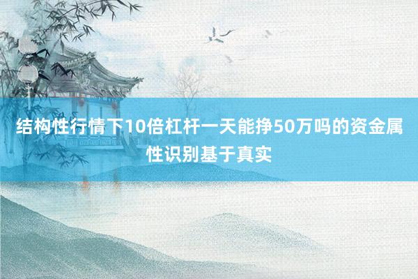 结构性行情下10倍杠杆一天能挣50万吗的资金属性识别基于真实