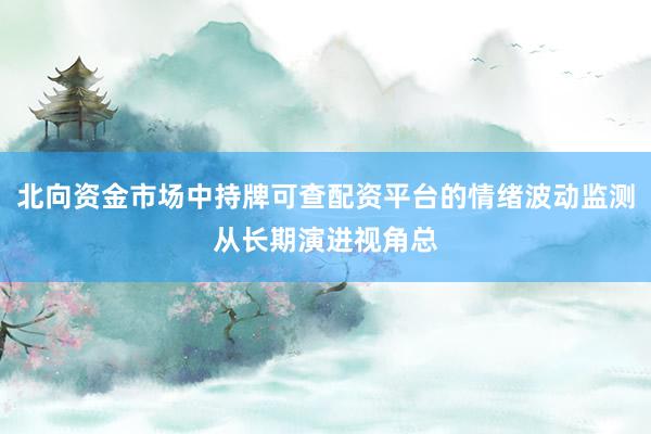 北向资金市场中持牌可查配资平台的情绪波动监测从长期演进视角总
