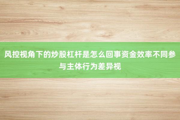 风控视角下的炒股杠杆是怎么回事资金效率不同参与主体行为差异视