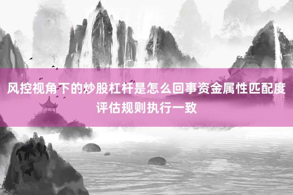 风控视角下的炒股杠杆是怎么回事资金属性匹配度评估规则执行一致