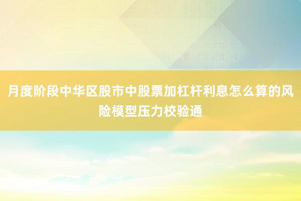月度阶段中华区股市中股票加杠杆利息怎么算的风险模型压力校验通