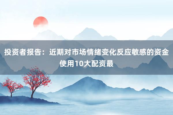 投资者报告：近期对市场情绪变化反应敏感的资金使用10大配资最