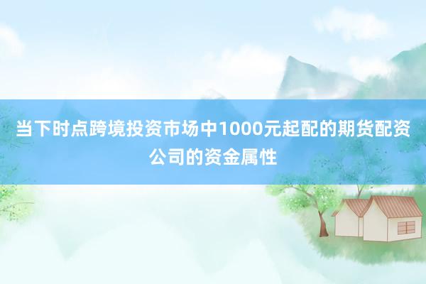 当下时点跨境投资市场中1000元起配的期货配资公司的资金属性