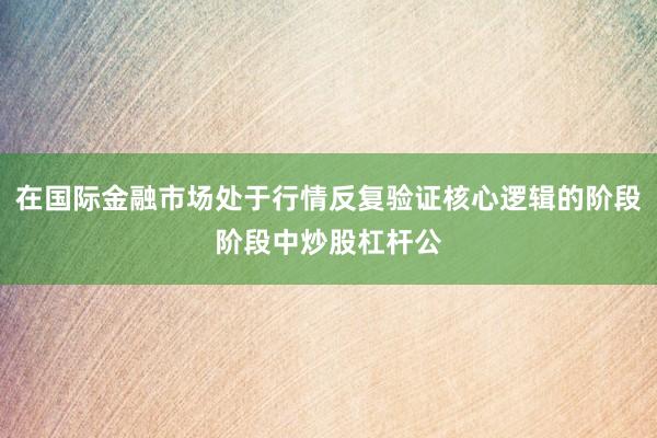 在国际金融市场处于行情反复验证核心逻辑的阶段阶段中炒股杠杆公